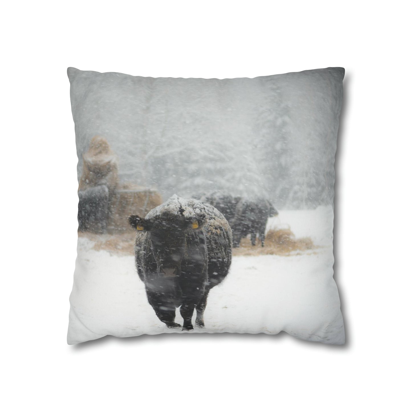 Frontier Frost Reversible Pillow Case