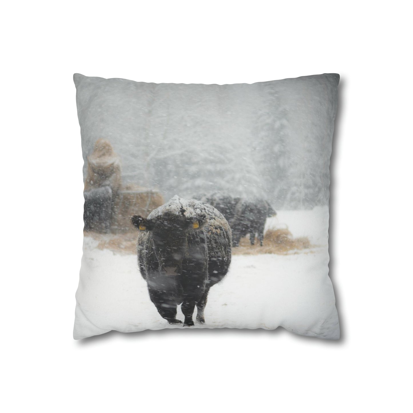 Frontier Frost Reversible Pillow Case