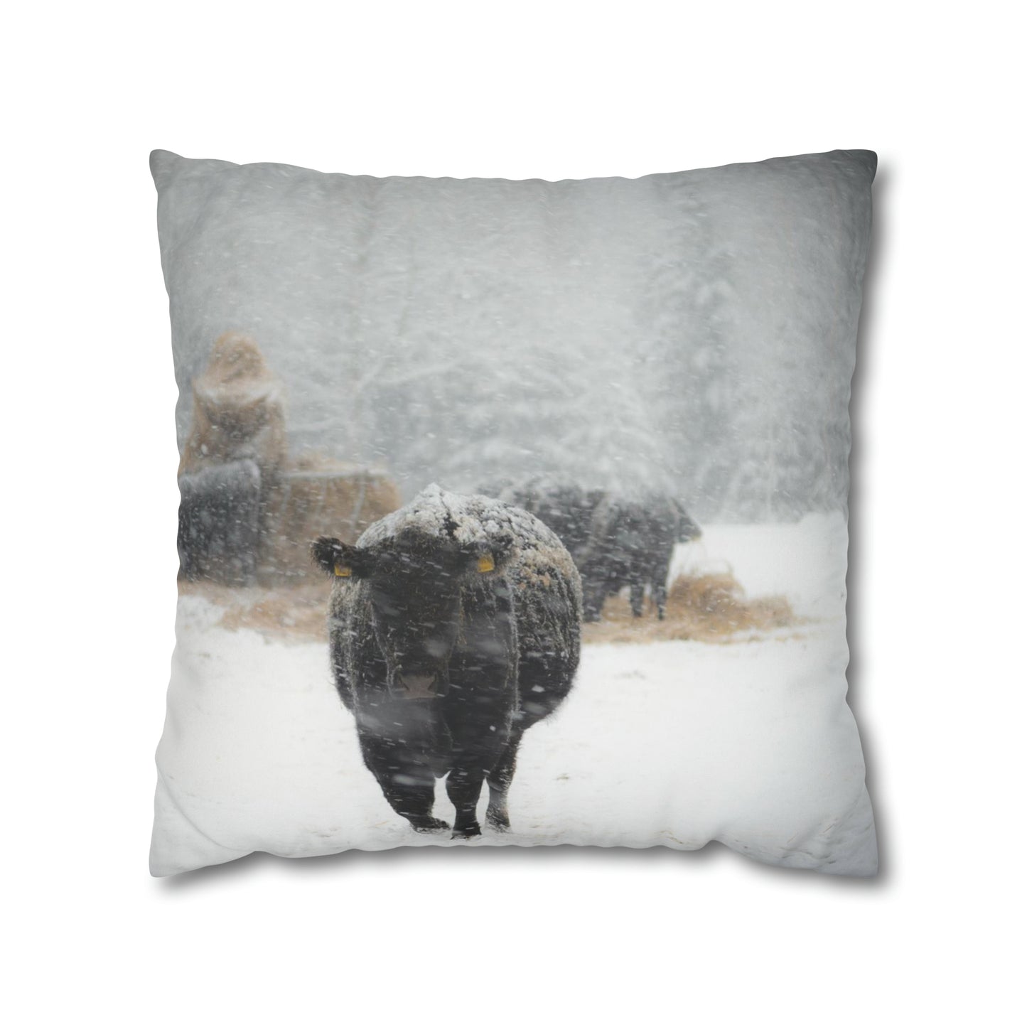 Frontier Frost Reversible Pillow Case